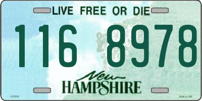 NH license plate 1168978