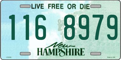 NH license plate 1168979