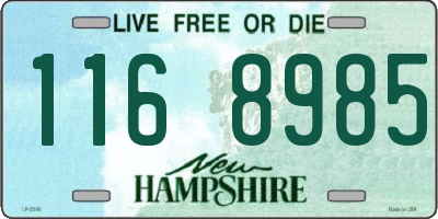 NH license plate 1168985