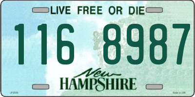 NH license plate 1168987