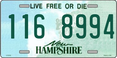 NH license plate 1168994