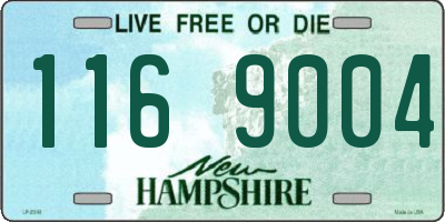 NH license plate 1169004