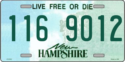 NH license plate 1169012