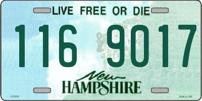NH license plate 1169017