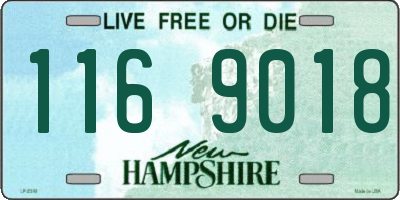 NH license plate 1169018