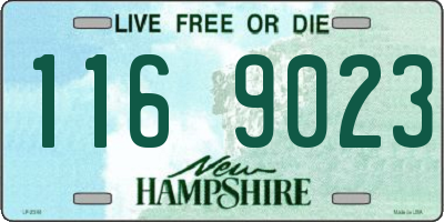 NH license plate 1169023