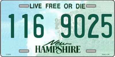 NH license plate 1169025