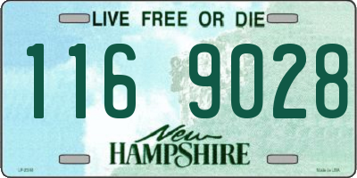 NH license plate 1169028