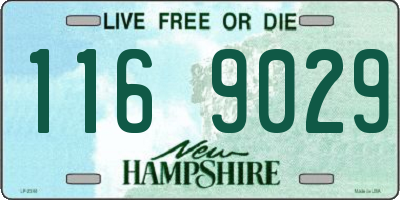 NH license plate 1169029