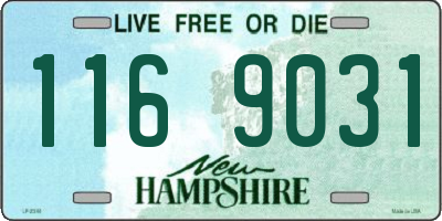 NH license plate 1169031