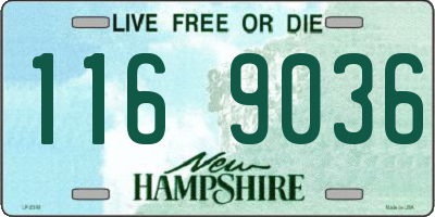 NH license plate 1169036