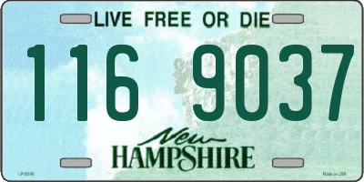 NH license plate 1169037