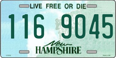 NH license plate 1169045
