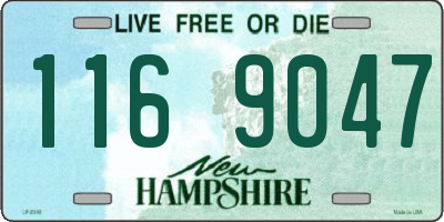 NH license plate 1169047