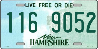 NH license plate 1169052