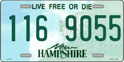 NH license plate 1169055