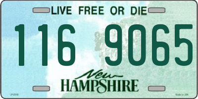 NH license plate 1169065