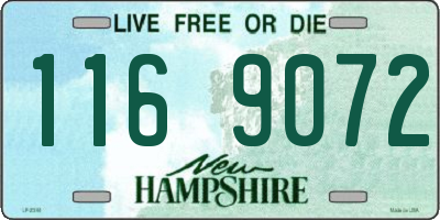 NH license plate 1169072