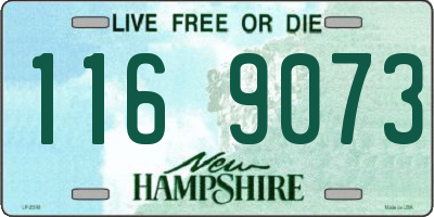 NH license plate 1169073