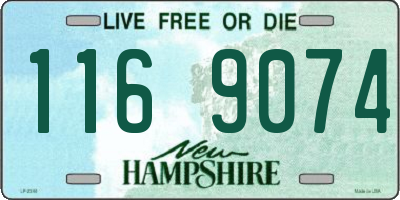 NH license plate 1169074