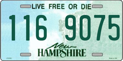 NH license plate 1169075