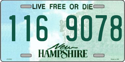 NH license plate 1169078