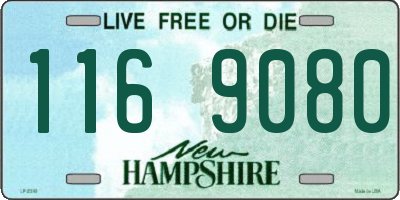 NH license plate 1169080