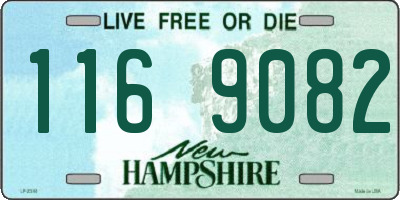 NH license plate 1169082