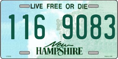 NH license plate 1169083