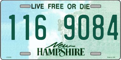 NH license plate 1169084