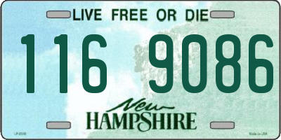 NH license plate 1169086