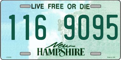 NH license plate 1169095