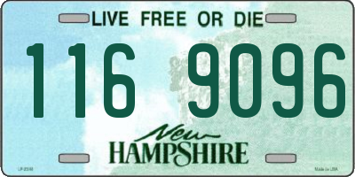NH license plate 1169096