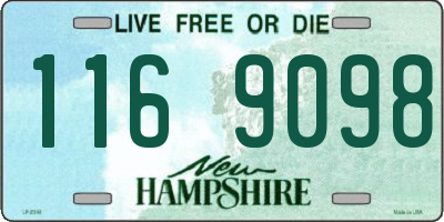 NH license plate 1169098