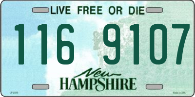 NH license plate 1169107