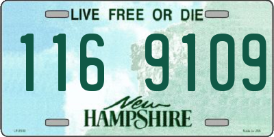 NH license plate 1169109