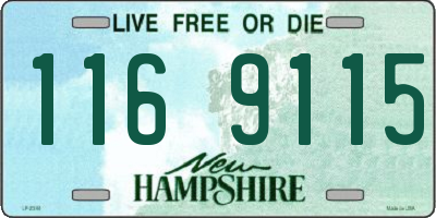 NH license plate 1169115