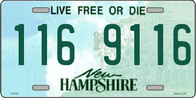 NH license plate 1169116