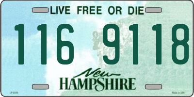 NH license plate 1169118
