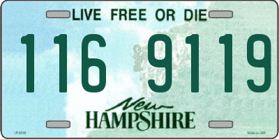 NH license plate 1169119