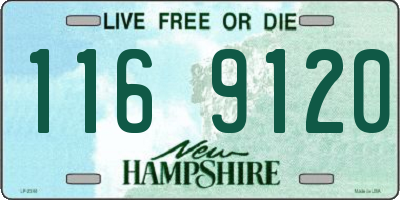 NH license plate 1169120