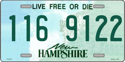 NH license plate 1169122