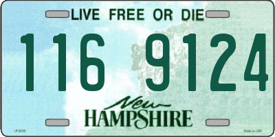 NH license plate 1169124