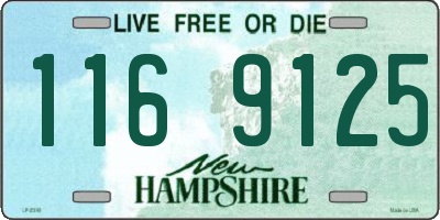 NH license plate 1169125