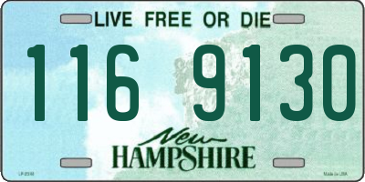 NH license plate 1169130