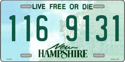 NH license plate 1169131