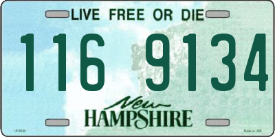 NH license plate 1169134