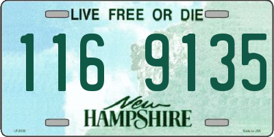 NH license plate 1169135