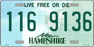 NH license plate 1169136