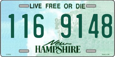 NH license plate 1169148